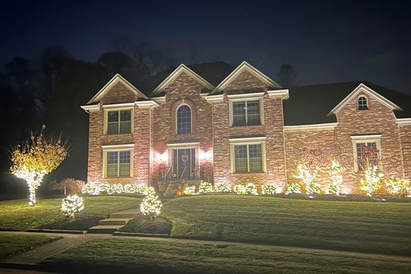Wrapped mini Christmas trees and lit bushes at a colonial home entry in Barbourmeade, Kentucky
